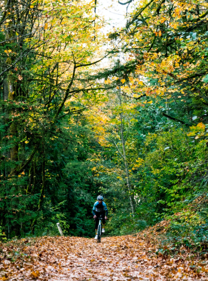 65eede173146b16888c0482f_1 1