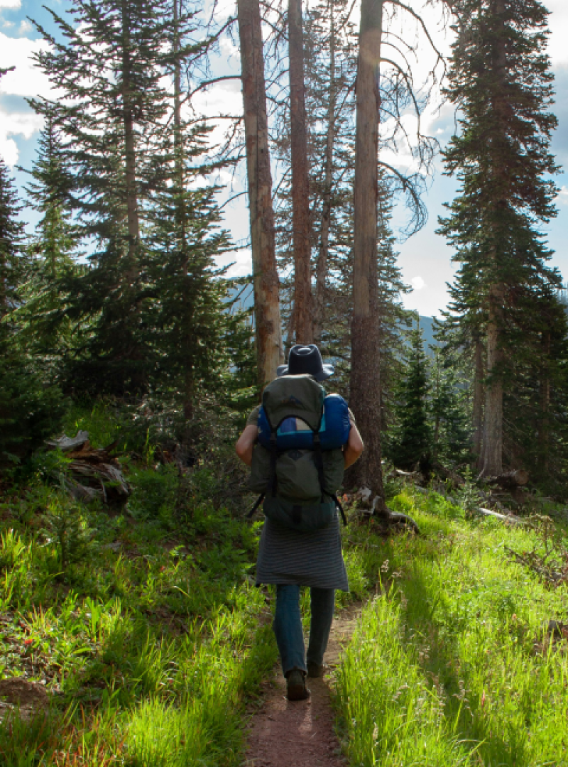 65eede17b3ca3b1f7efb85e3_3 1